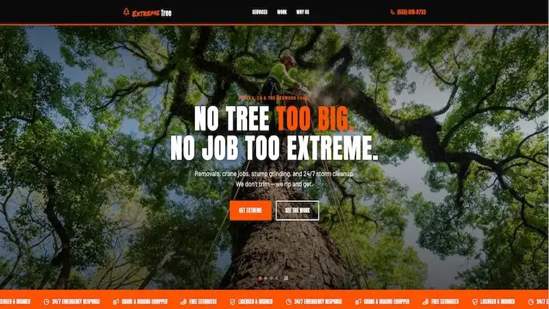 Bold website design preview
