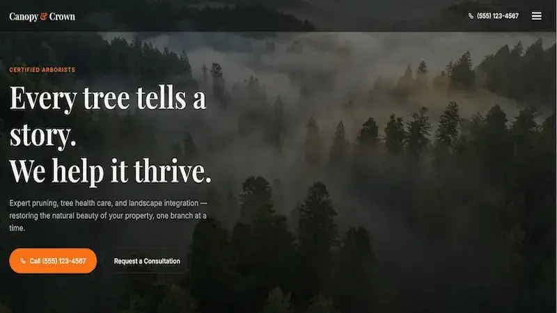 Modern website design preview